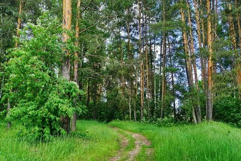 Продажа участка, Иваново, Плесская 2-я ул,  9 а