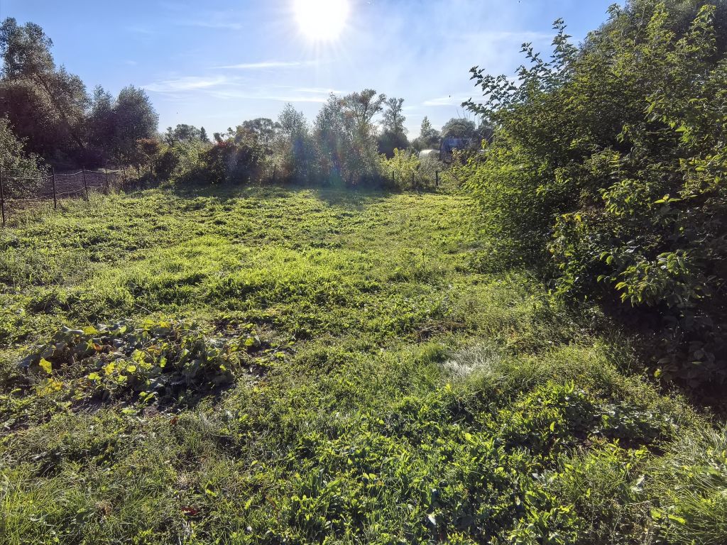 Продажа дома, 124м <sup>2</sup>, 22 сот., Исса, Набережная,  98