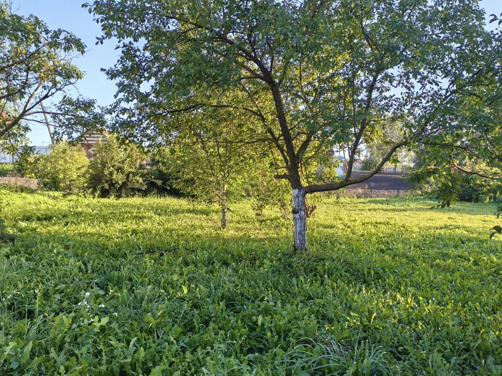 Продажа дома, 124м <sup>2</sup>, 22 сот., Исса, Набережная,  98