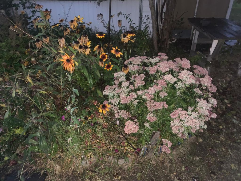 Продажа дома, 40м <sup>2</sup>, 5 сот., Кохма, СНТ Лесная Поляна