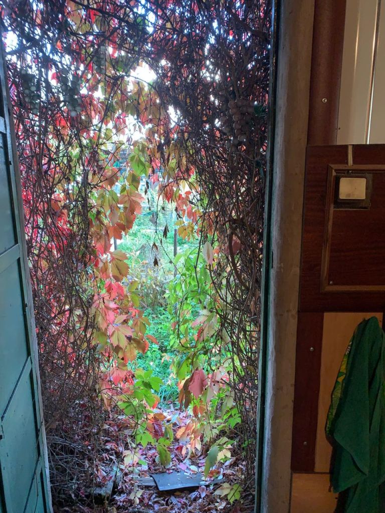 Продажа дома, 45м <sup>2</sup>, 6 сот., Борисково