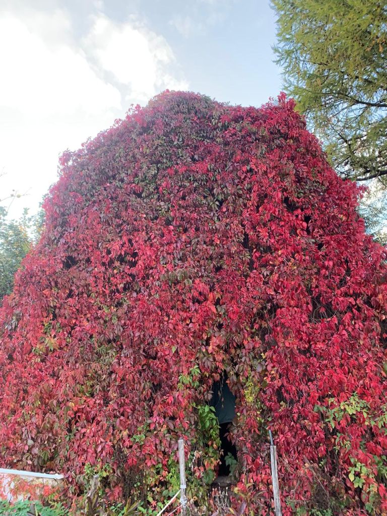 Продажа дома, 45м <sup>2</sup>, 6 сот., Борисково