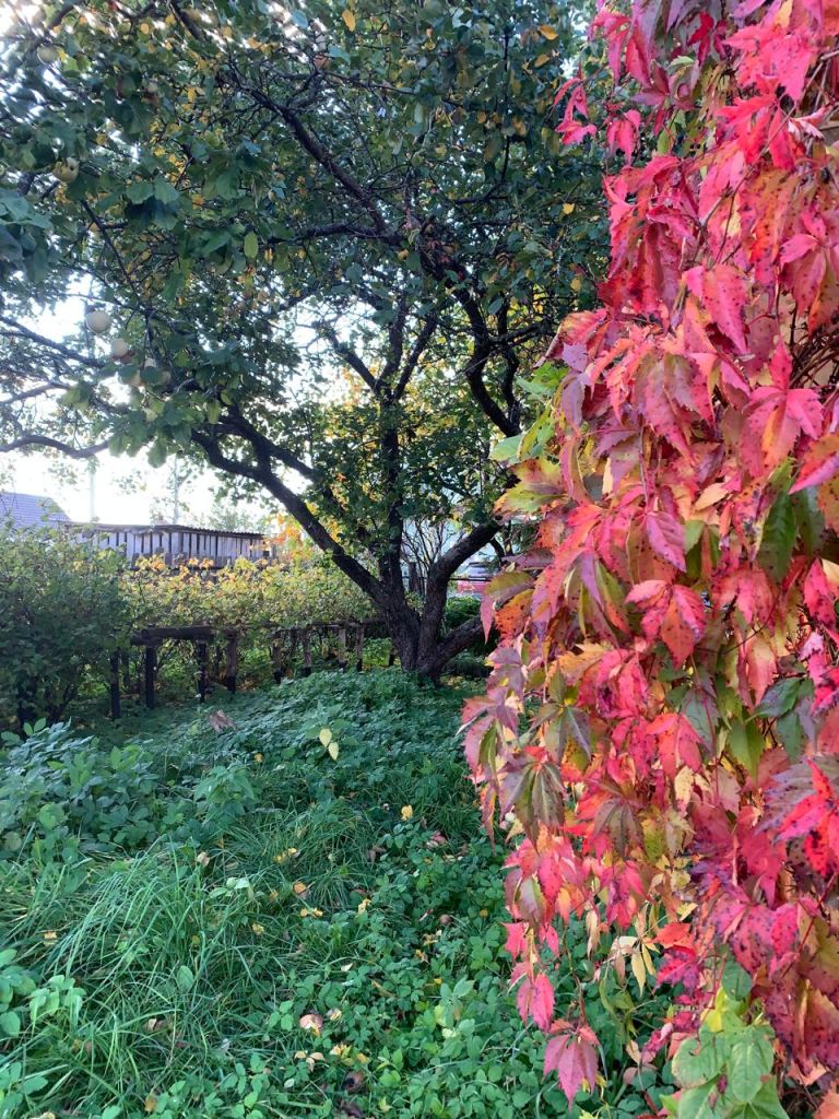 Продажа дома, 45м <sup>2</sup>, 6 сот., Борисково