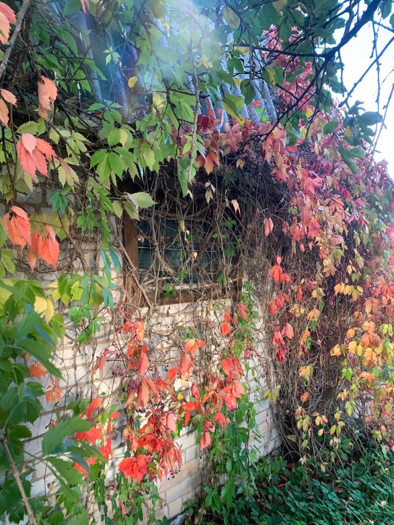 Продажа дома, 45м <sup>2</sup>, 6 сот., Борисково