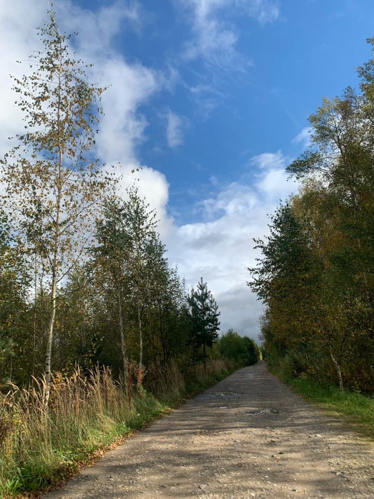 Продажа дачи, 45м <sup>2</sup>, 5 сот., Ивановская