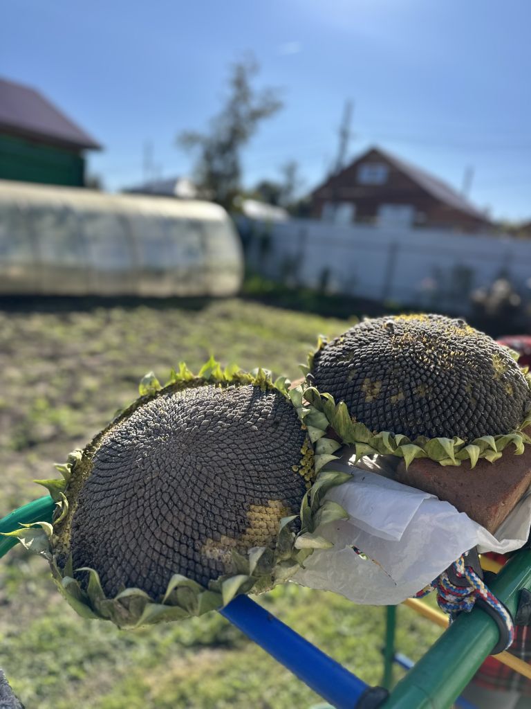 Продажа дома, 41м <sup>2</sup>, 11 сот., Вача, Речная,  10