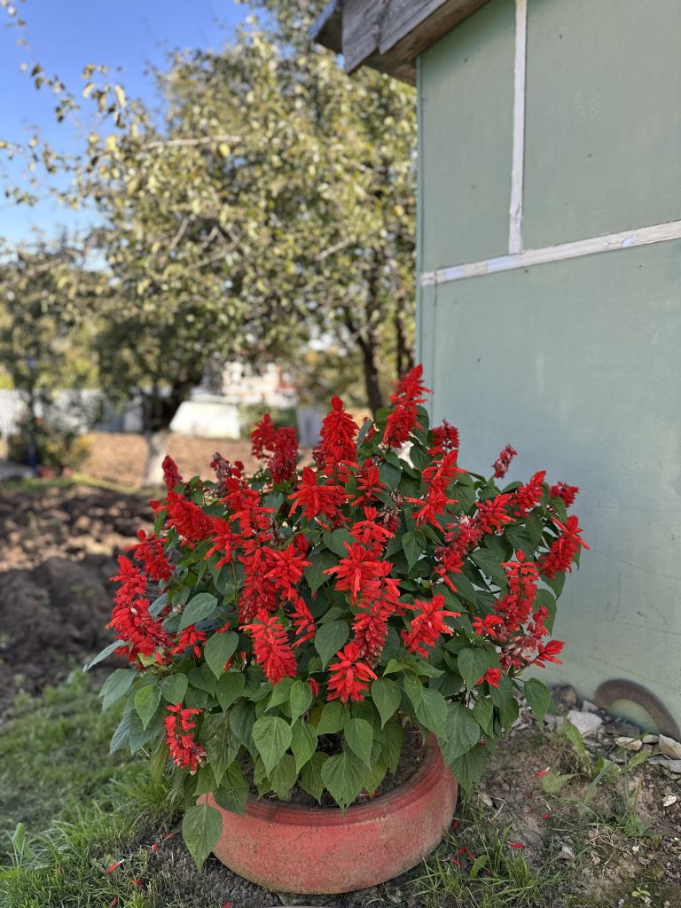 Продажа дома, 41м <sup>2</sup>, 11 сот., Вача, Речная,  10