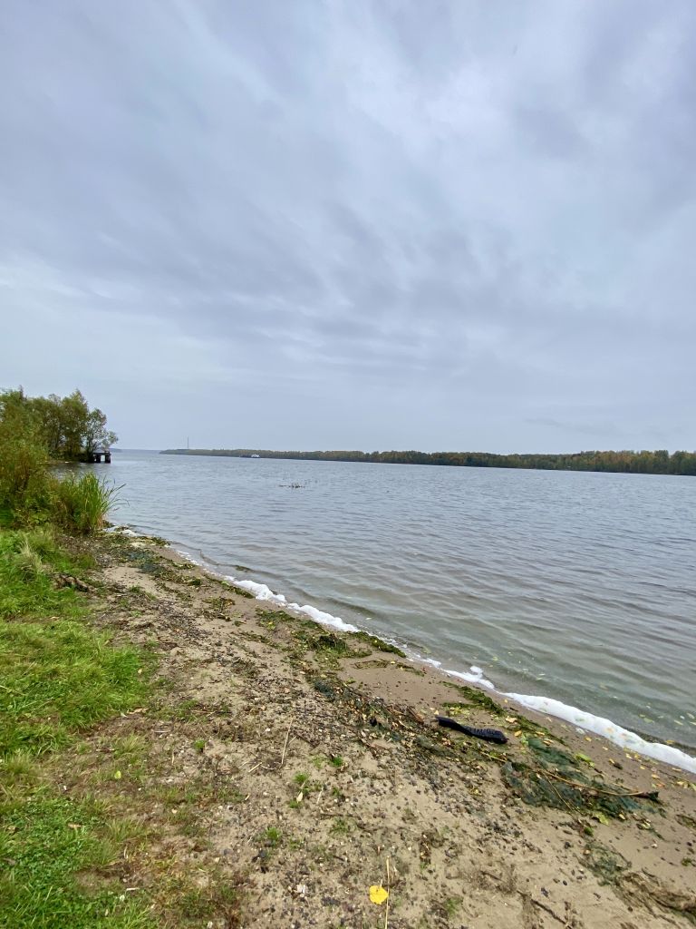 Продажа 1-комнатной квартиры, Кострома, Васильевское п,  8А