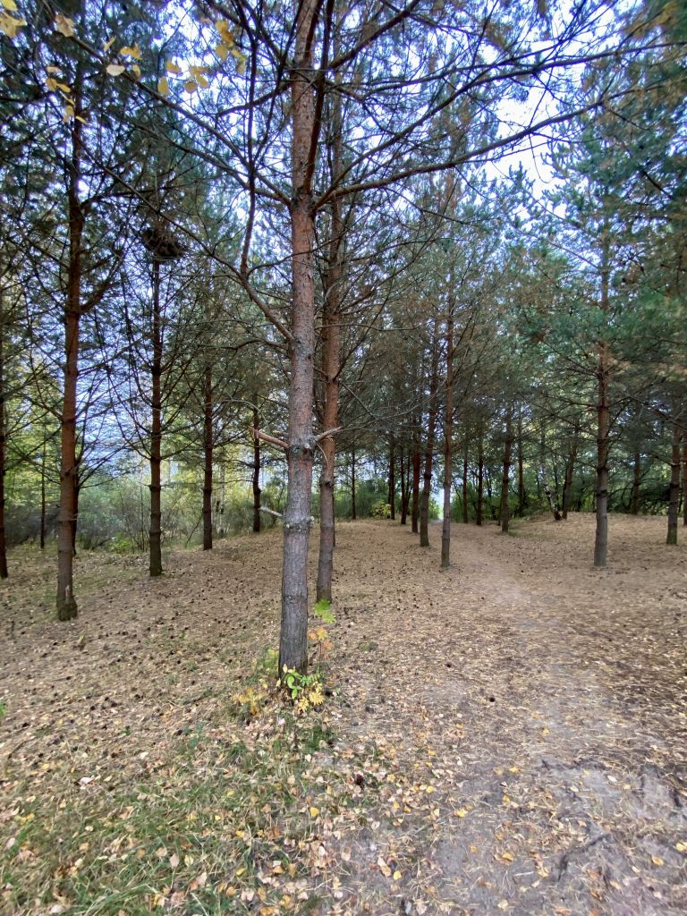 Продажа 1-комнатной квартиры, Кострома, Васильевское п,  8А