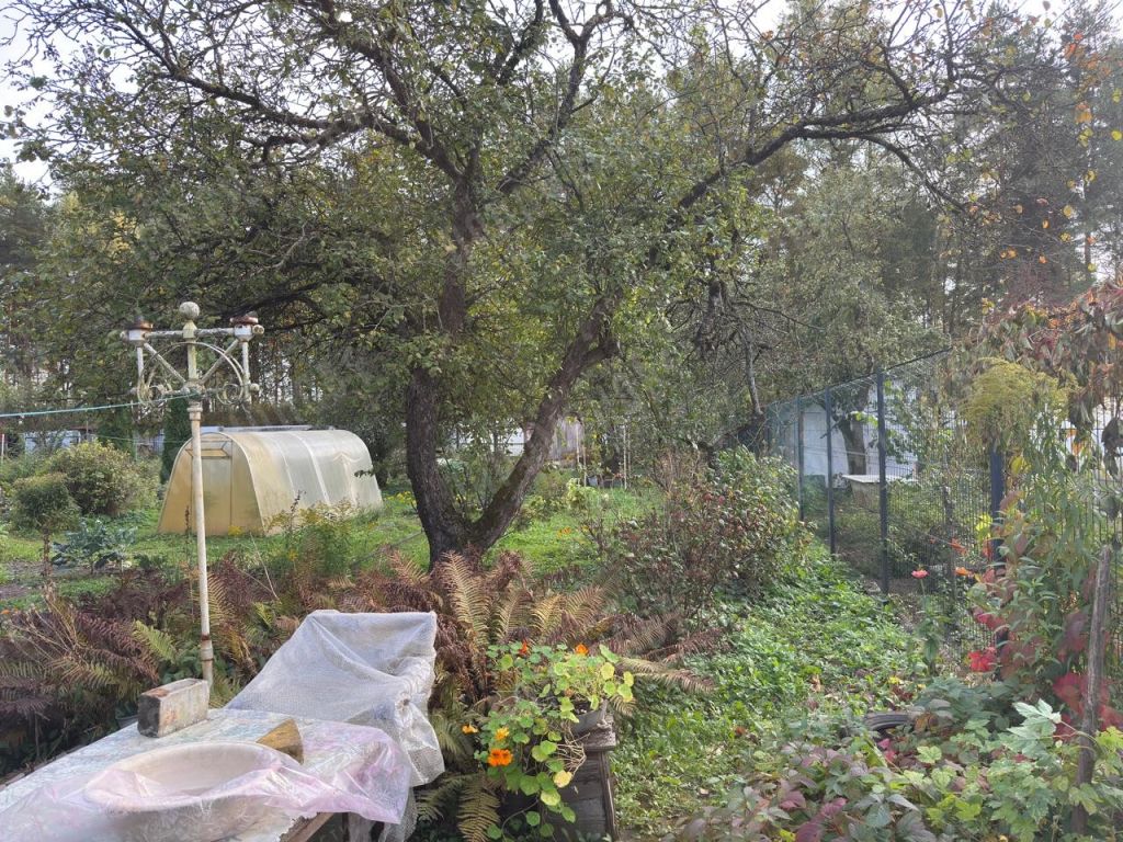 Продажа участка, Тверская