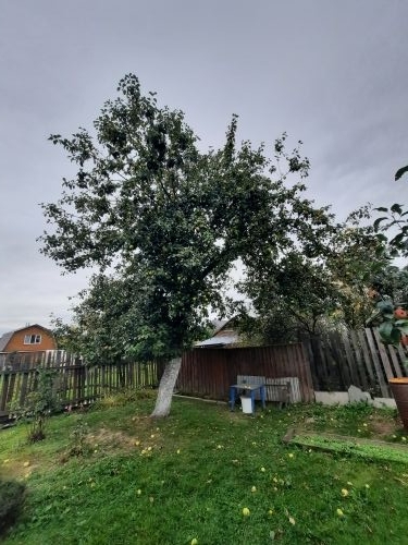 Продажа дома, 86м <sup>2</sup>, 5 сот., Кохма, Фрунзе ул,  65