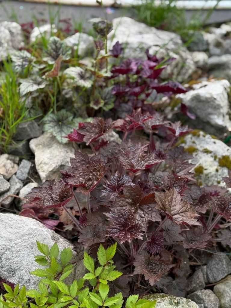 Продажа дачи, 80м <sup>2</sup>, 5 сот., Пушкино, Снт дзержинец,  43