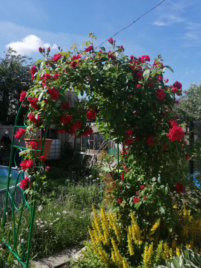 Продажа дачи, 80м <sup>2</sup>, 5 сот., Пушкино, Снт дзержинец,  43