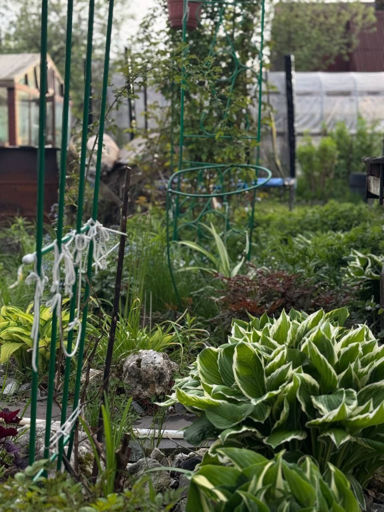 Продажа дачи, 80м <sup>2</sup>, 5 сот., Пушкино, Снт дзержинец,  43