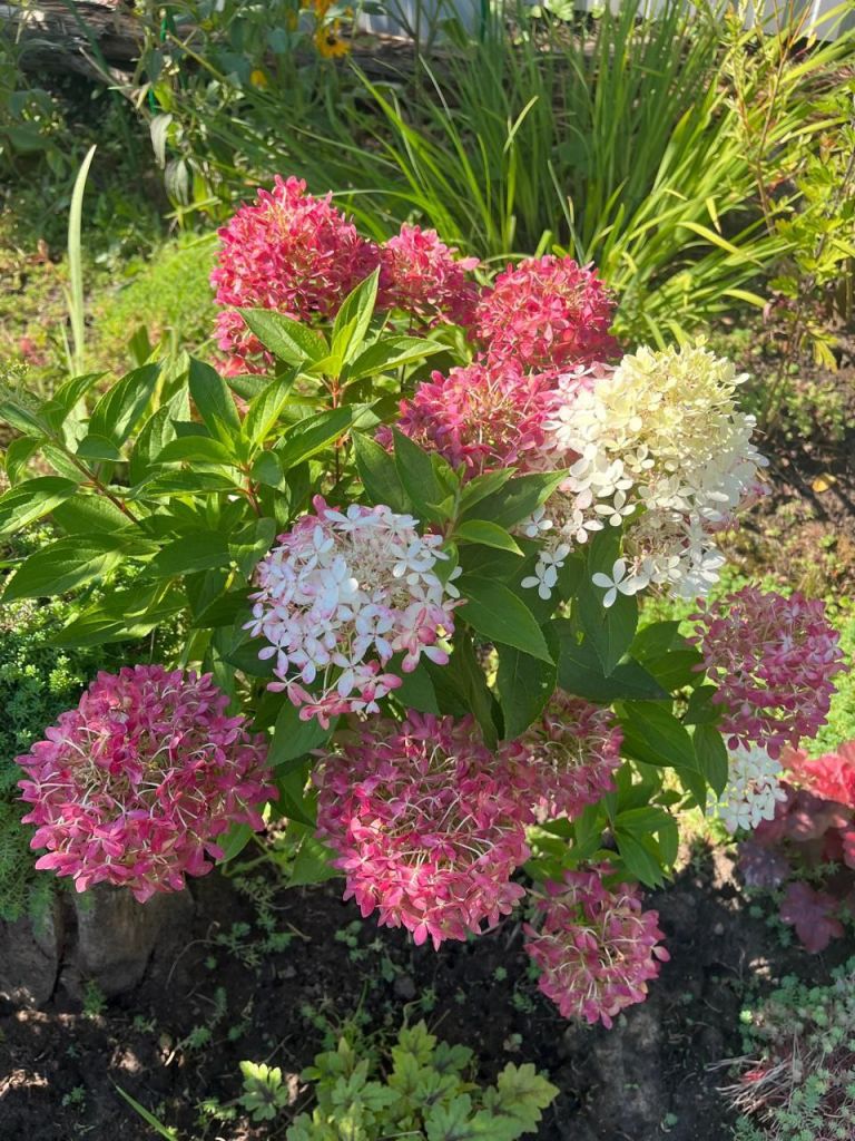 Продажа дачи, 80м <sup>2</sup>, 5 сот., Пушкино, Снт дзержинец,  43