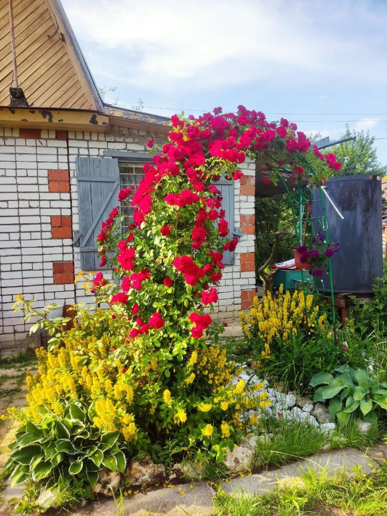 Продажа дачи, 80м <sup>2</sup>, 5 сот., Пушкино, Снт дзержинец,  43