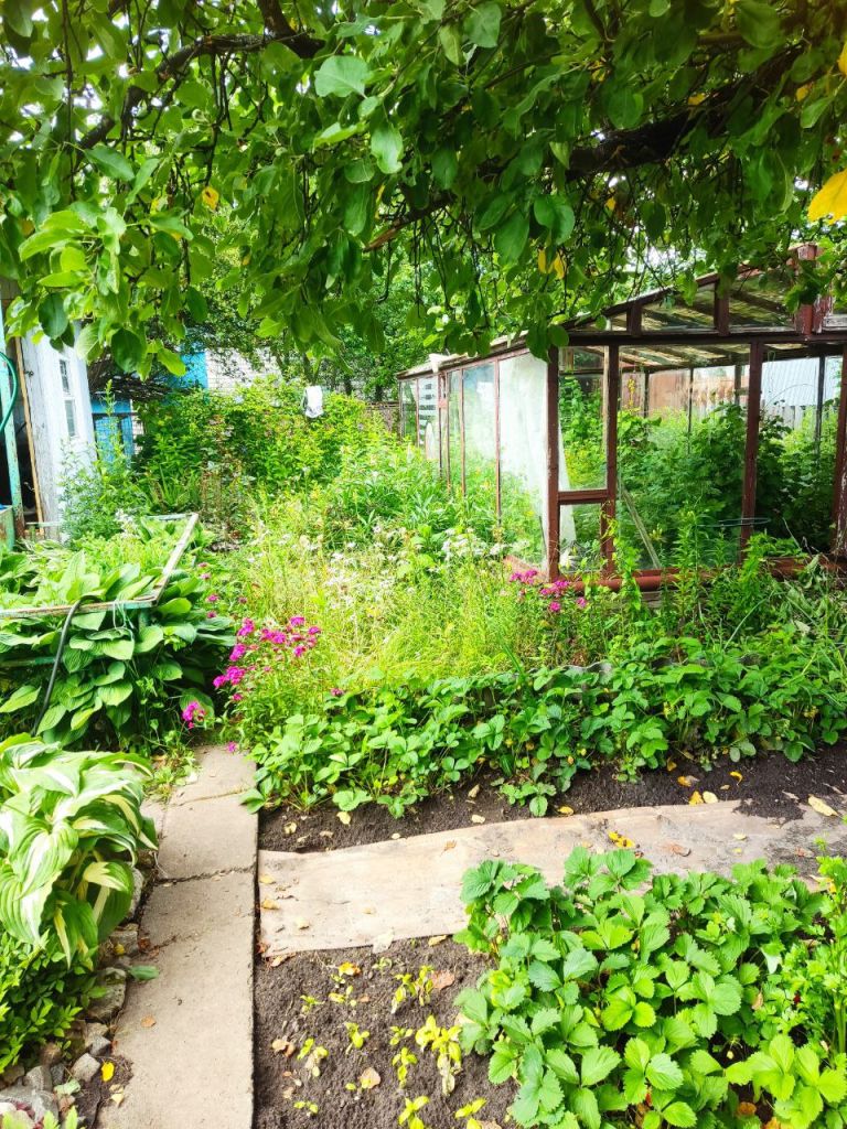 Продажа дачи, 80м <sup>2</sup>, 5 сот., Пушкино, Снт дзержинец,  43