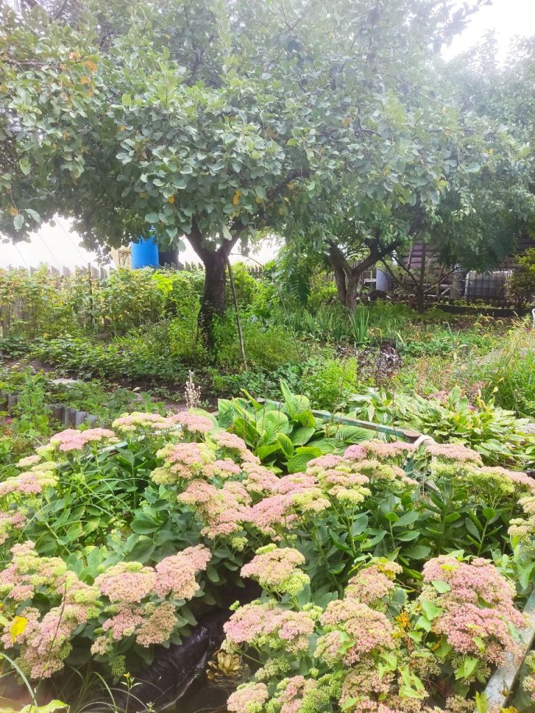 Продажа дачи, 80м <sup>2</sup>, 5 сот., Пушкино, Снт дзержинец,  43