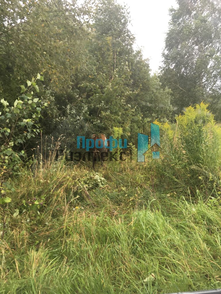 Продажа участка, Нижегородская