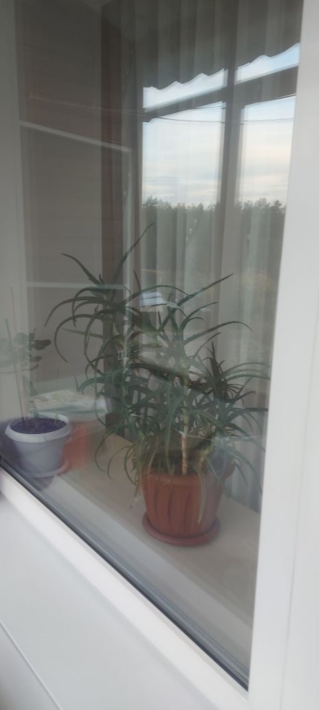 Продажа 2-комнатной квартиры, Мулино, Новая,  8