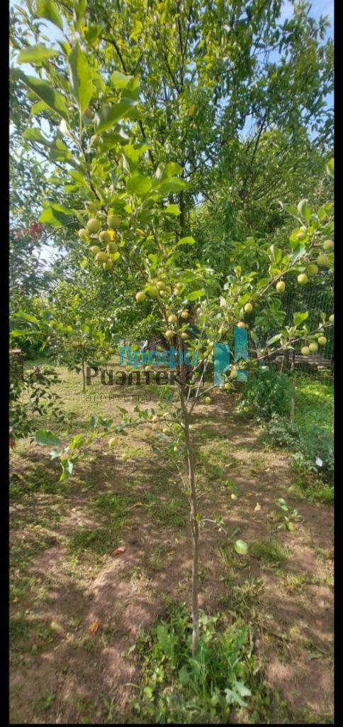 Продажа дачи, 43м <sup>2</sup>, 7 сот., Нижегородская, улица ,  34