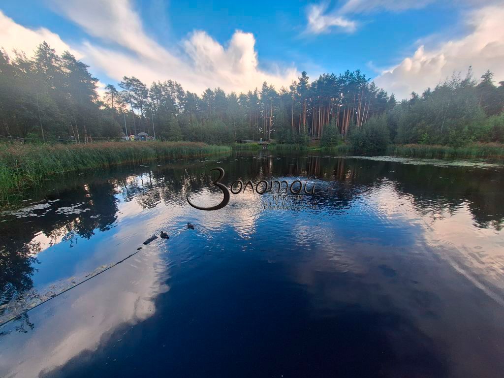 Продажа 1-комнатной квартиры, Дзержинск, Циолковского пр-кт,  61г