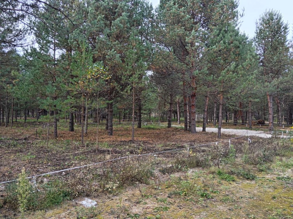 Продажа участка, Нижегородская, Ореховая