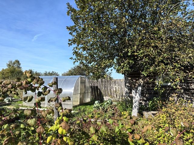 Продажа дома, 90м <sup>2</sup>, 26 сот., Судогда, Ошмарина ул,  81