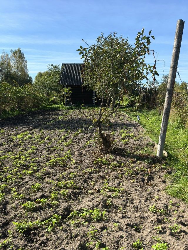 Продажа дома, 90м <sup>2</sup>, 26 сот., Судогда, Ошмарина ул,  81