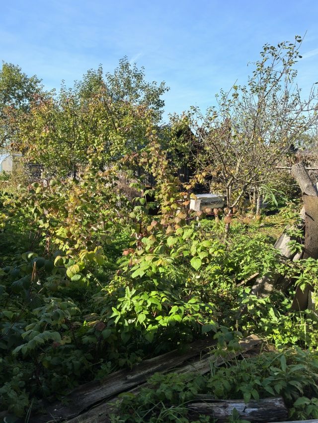 Продажа дома, 90м <sup>2</sup>, 26 сот., Судогда, Ошмарина ул,  81