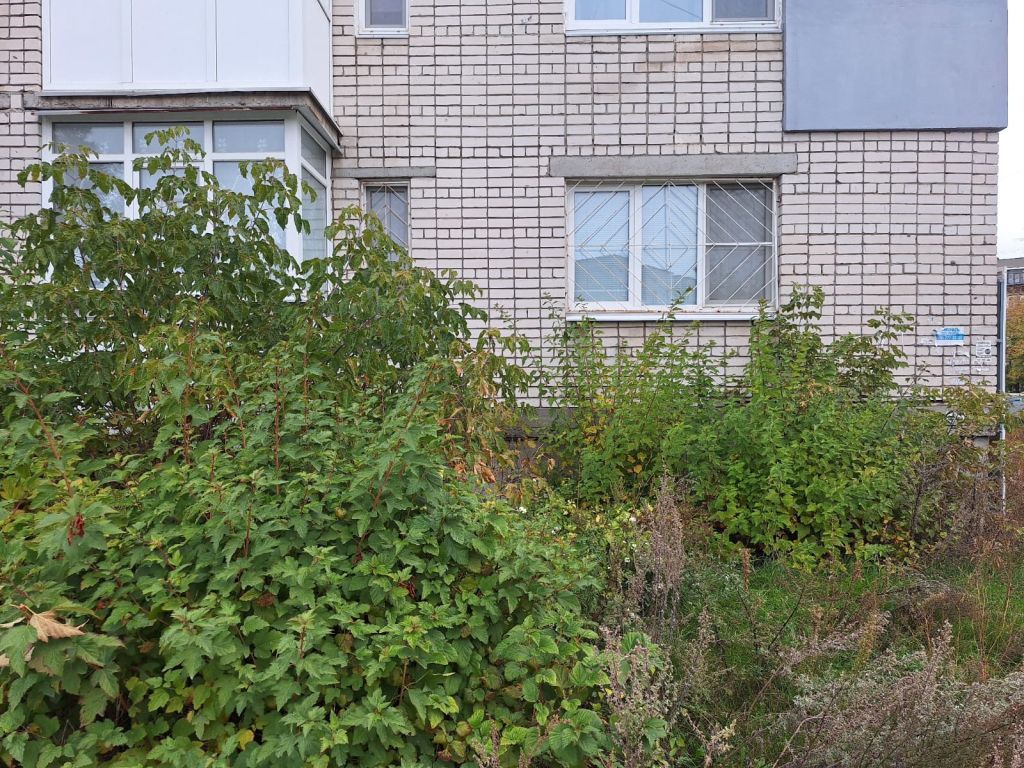 Продажа 1-комнатной квартиры, Дзержинск, Молодежная ул,  13