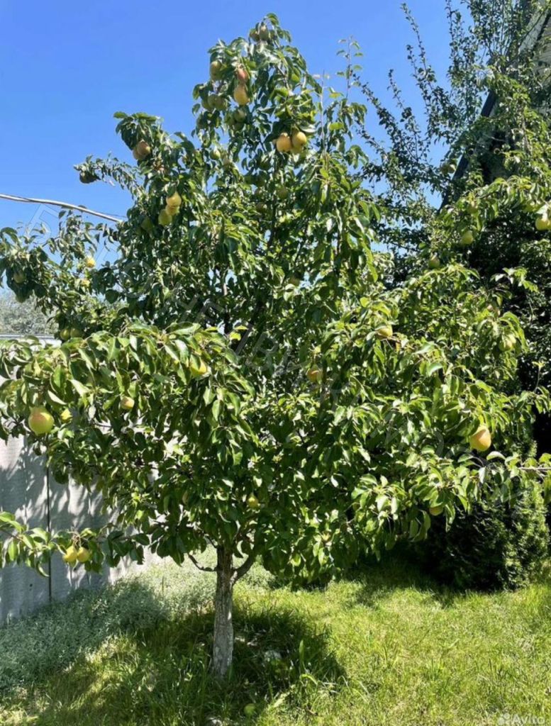 Продажа дома, 350м <sup>2</sup>, 15 сот., Хоперское, Советская,  2Е