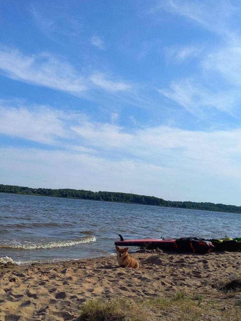 Продажа дачи, 81м <sup>2</sup>, 14 сот., Яблоново, Луговая,  4