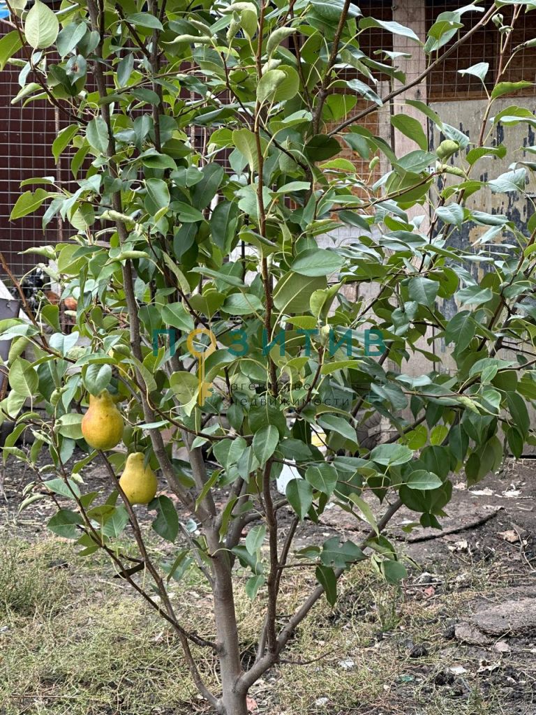 Продажа дома, 150м <sup>2</sup>, 6 сот., Ставропольский, Геодезическая