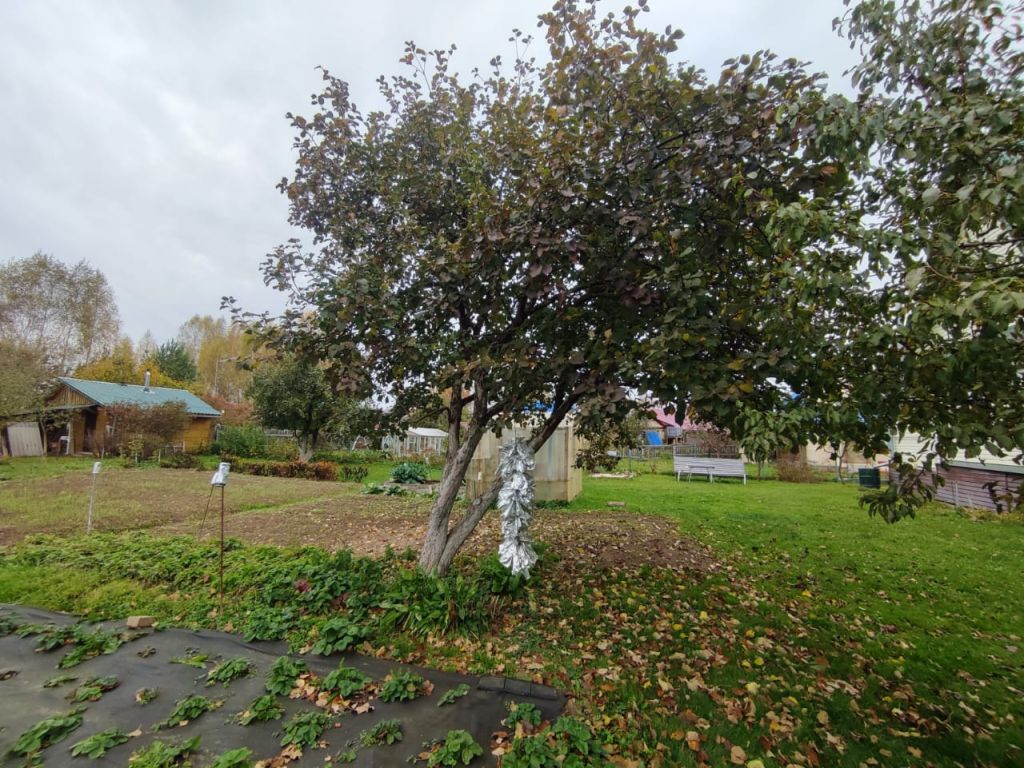 Продажа дома, 100м <sup>2</sup>, 20 сот., Карцево