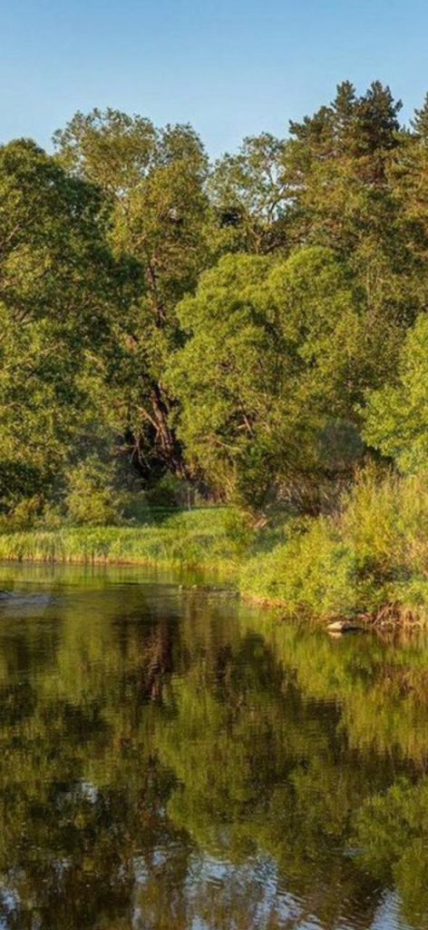 Продажа участка, Первомайские Горки