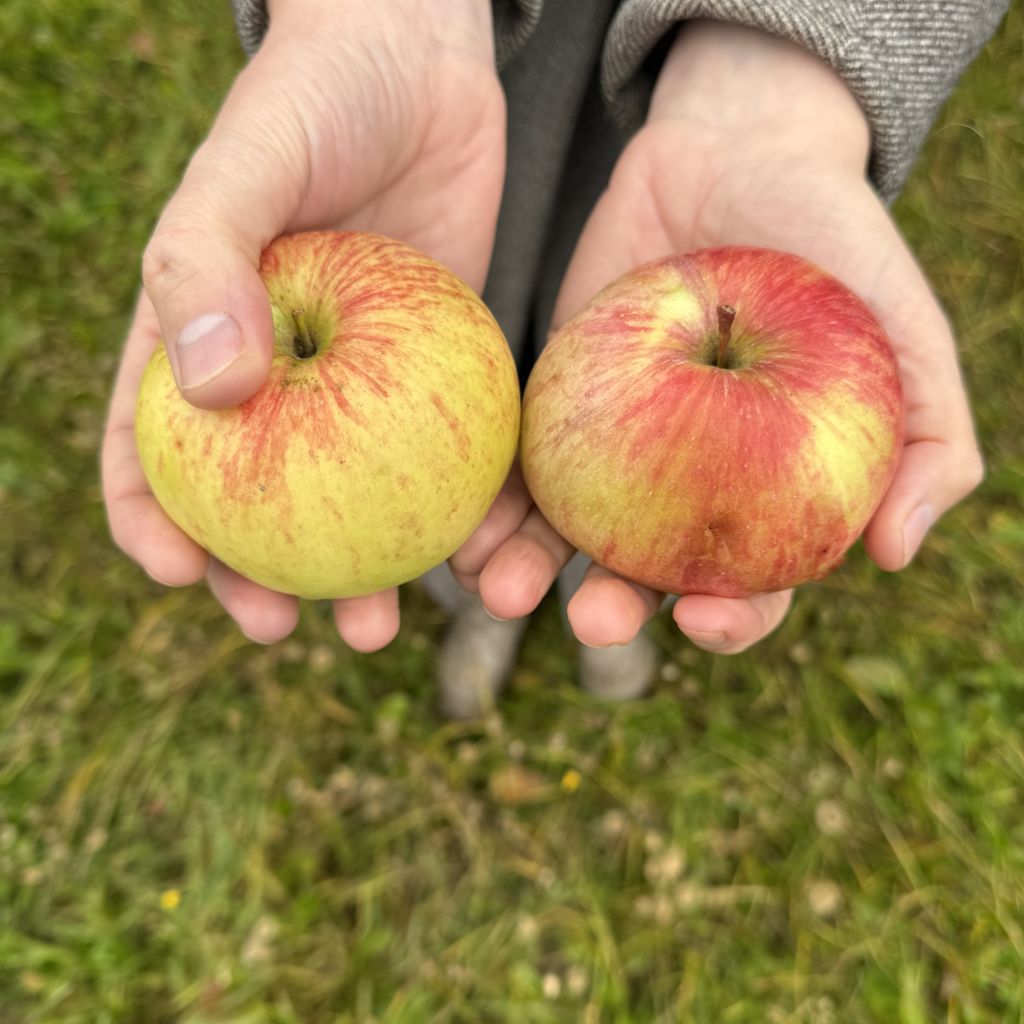 Продажа дома, 23м <sup>2</sup>, 29 сот., Варганы, Центральная ,  12