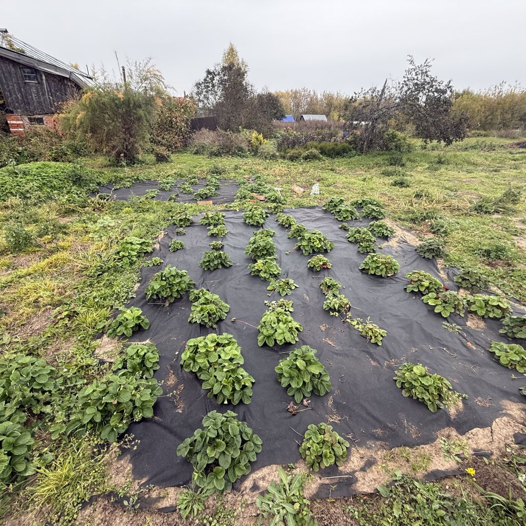 Продажа дома, 23м <sup>2</sup>, 29 сот., Варганы, Центральная ,  12