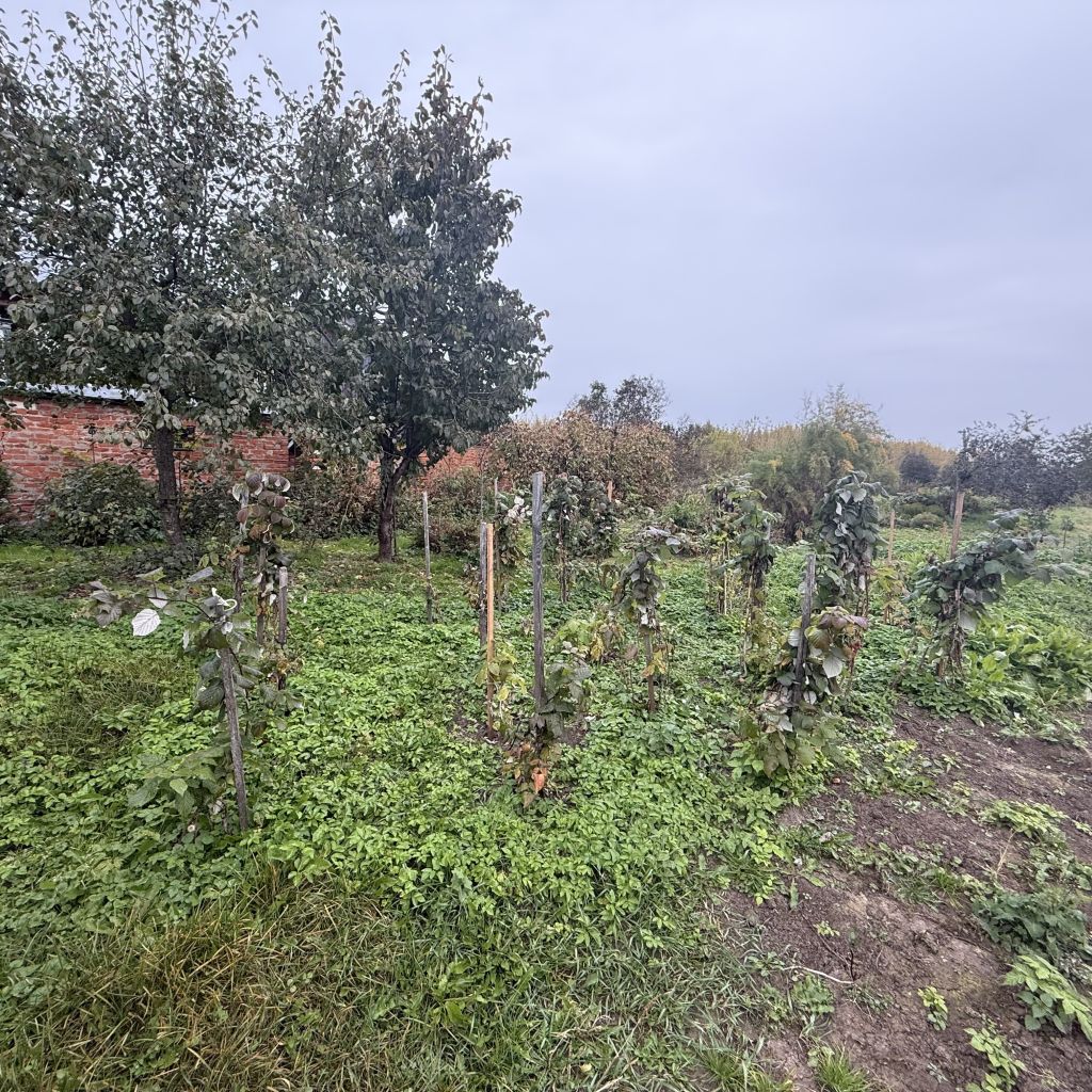 Продажа дома, 23м <sup>2</sup>, 29 сот., Варганы, Центральная ,  12