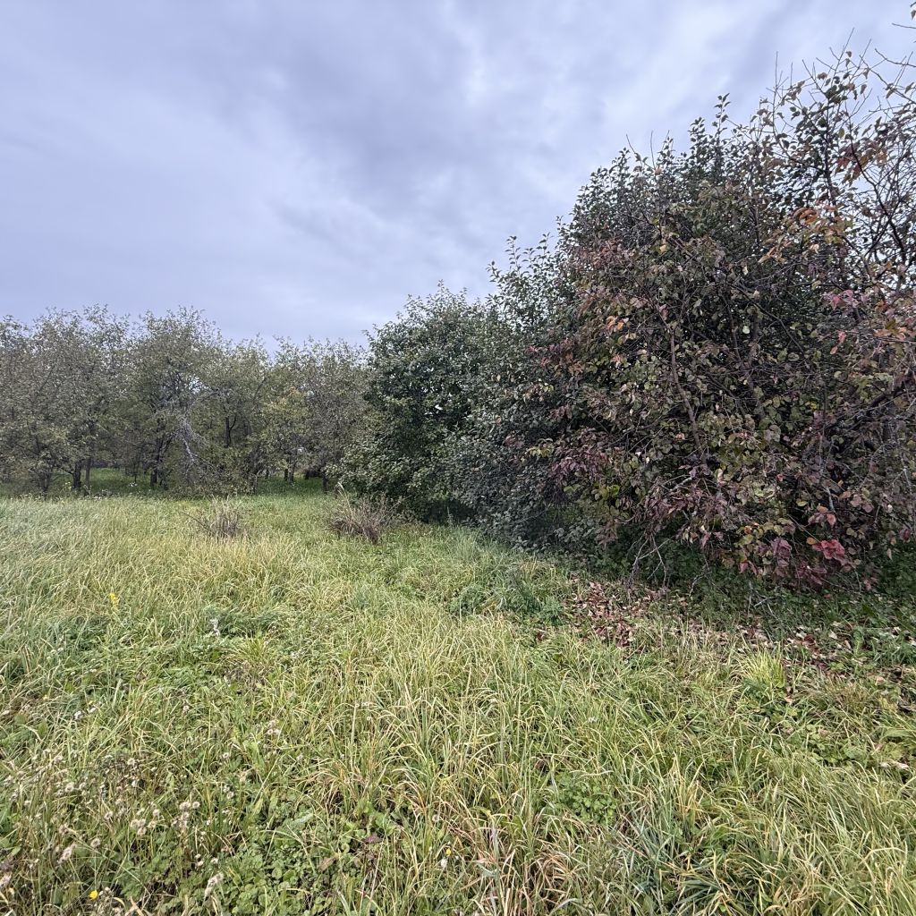 Продажа дома, 23м <sup>2</sup>, 29 сот., Варганы, Центральная ,  12