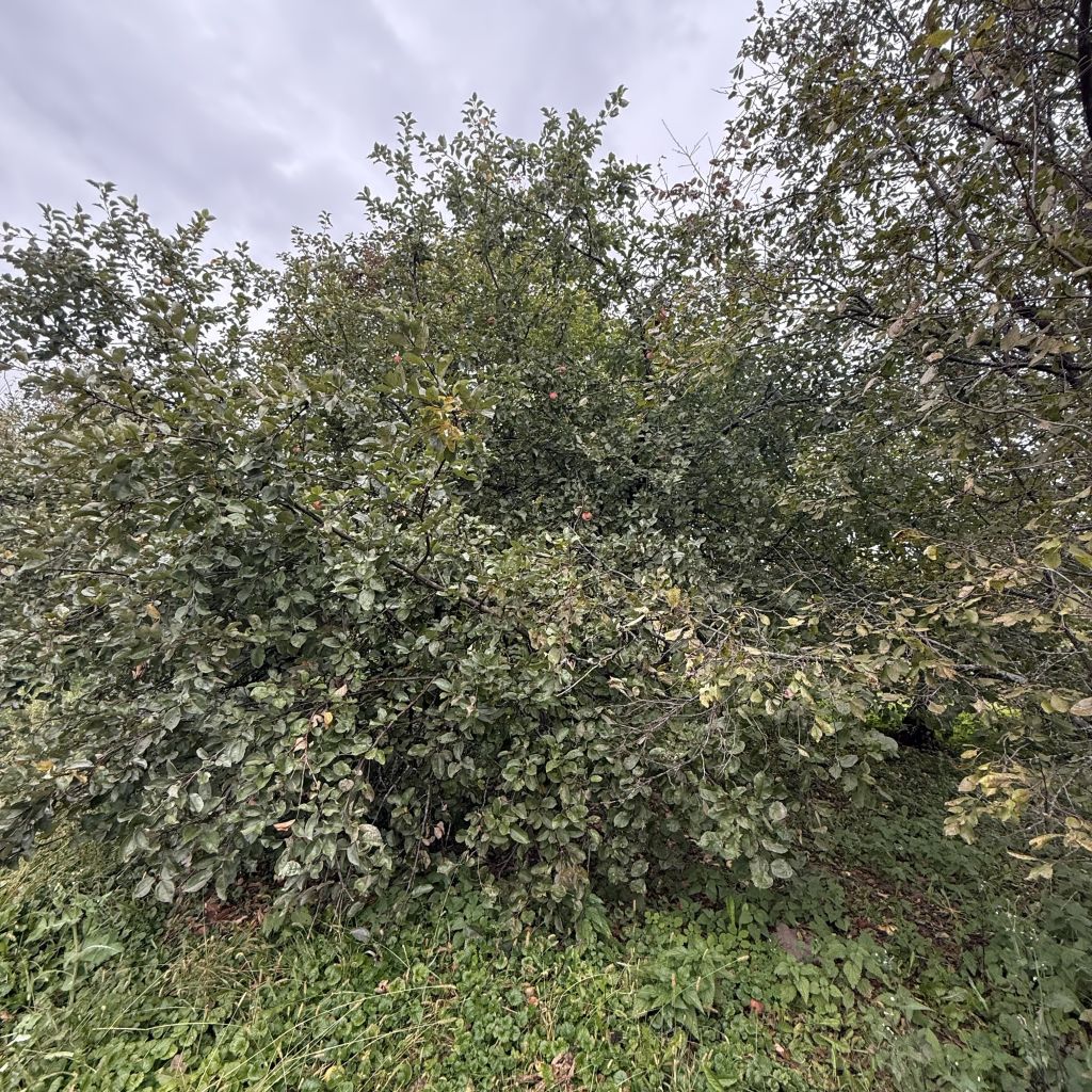 Продажа дома, 23м <sup>2</sup>, 29 сот., Варганы, Центральная ,  12