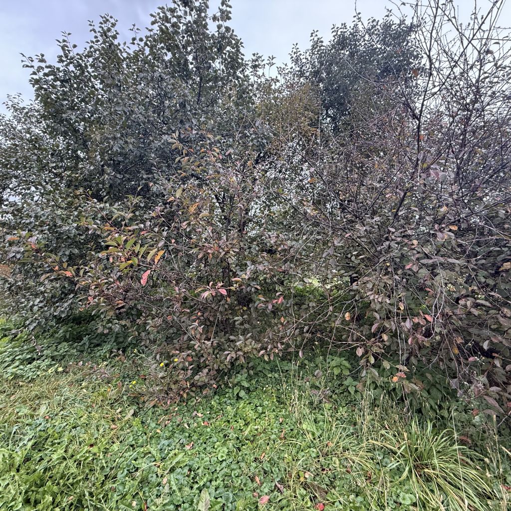 Продажа дома, 23м <sup>2</sup>, 29 сот., Варганы, Центральная ,  12