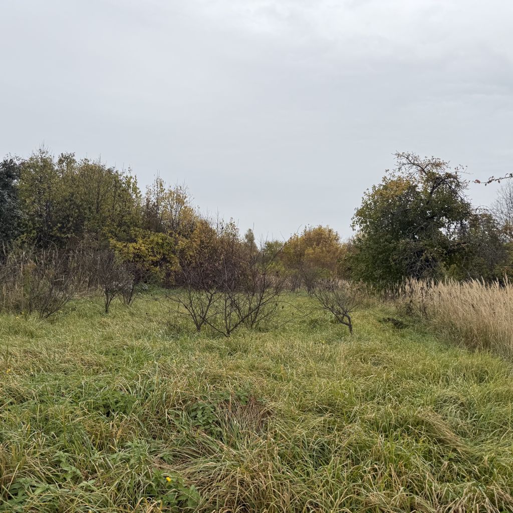 Продажа дома, 23м <sup>2</sup>, 29 сот., Варганы, Центральная ,  12