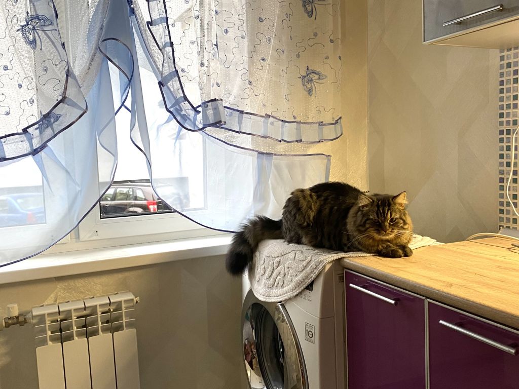 Продажа 3-комнатной квартиры, Нижний Новгород, Исполкома ул,  11