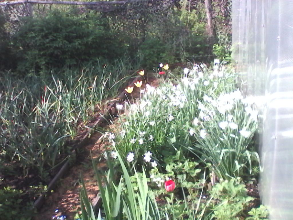 Продажа дачи, 45м <sup>2</sup>, 5 сот., Балахна, СНТ Строитель,  133