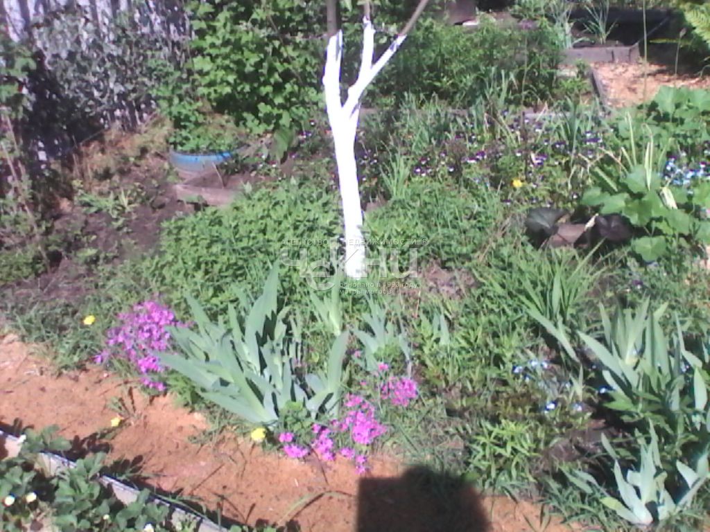 Продажа дачи, 45м <sup>2</sup>, 5 сот., Балахна, СНТ Строитель,  133