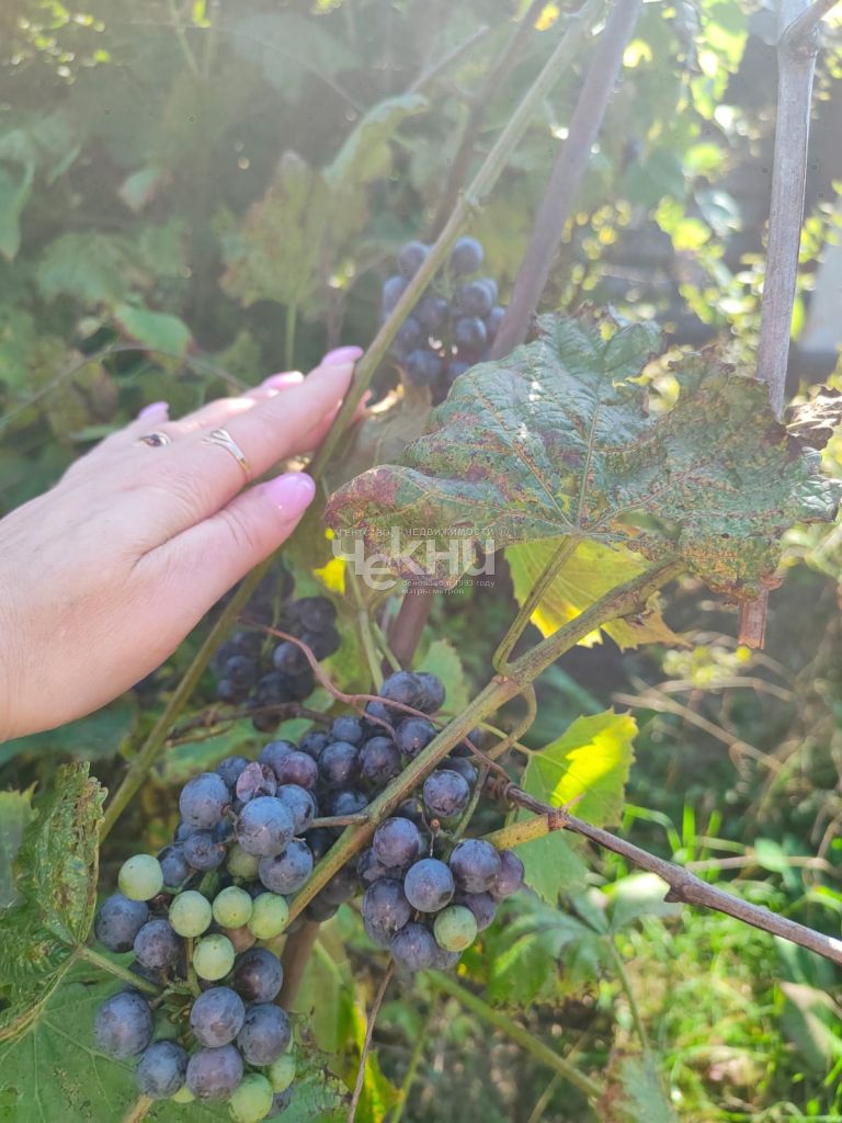 Продажа дачи, 45м <sup>2</sup>, 5 сот., Балахна, СНТ Строитель,  133