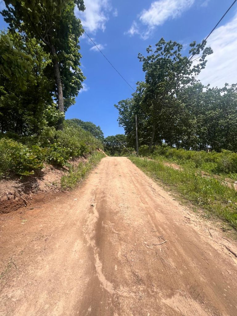 Продажа участка, Ливадия, Лесная,  2