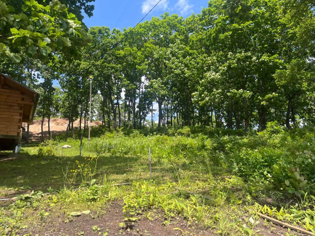 Продажа участка, Ливадия, Лесная,  2