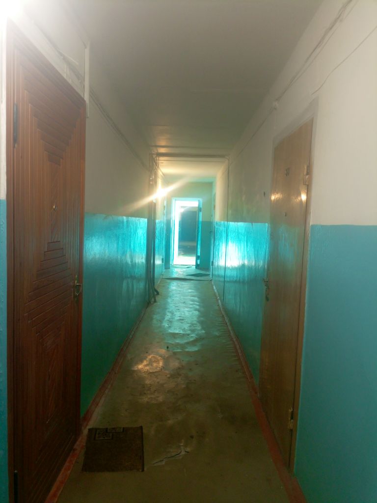 Продажа 1-комнатной квартиры, Кстово, Ступишина ул,  3